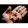 SUPPLEMENTATION - plan suplementacyjny